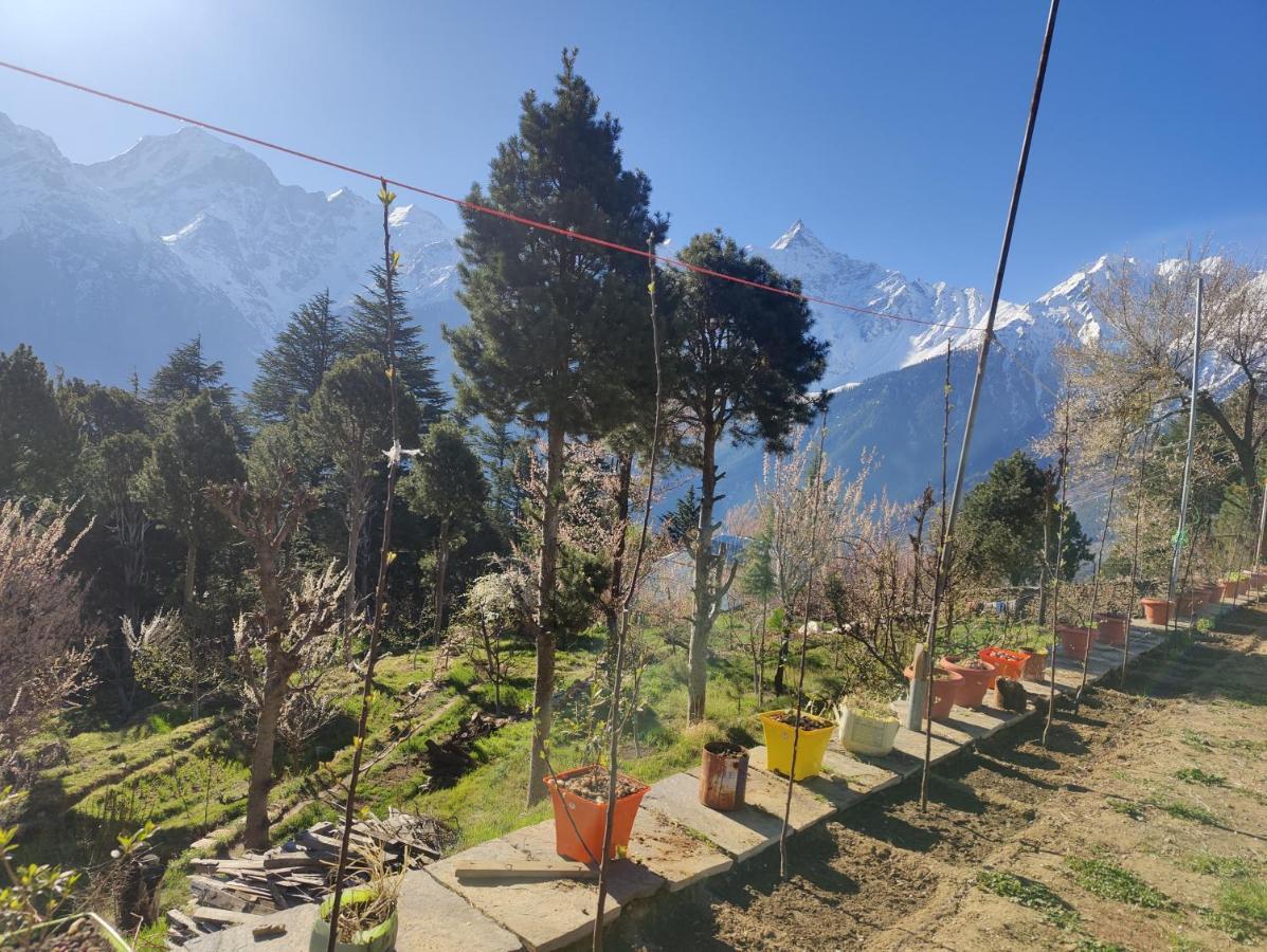 Silk Route Home Stay 칼파 외부 사진