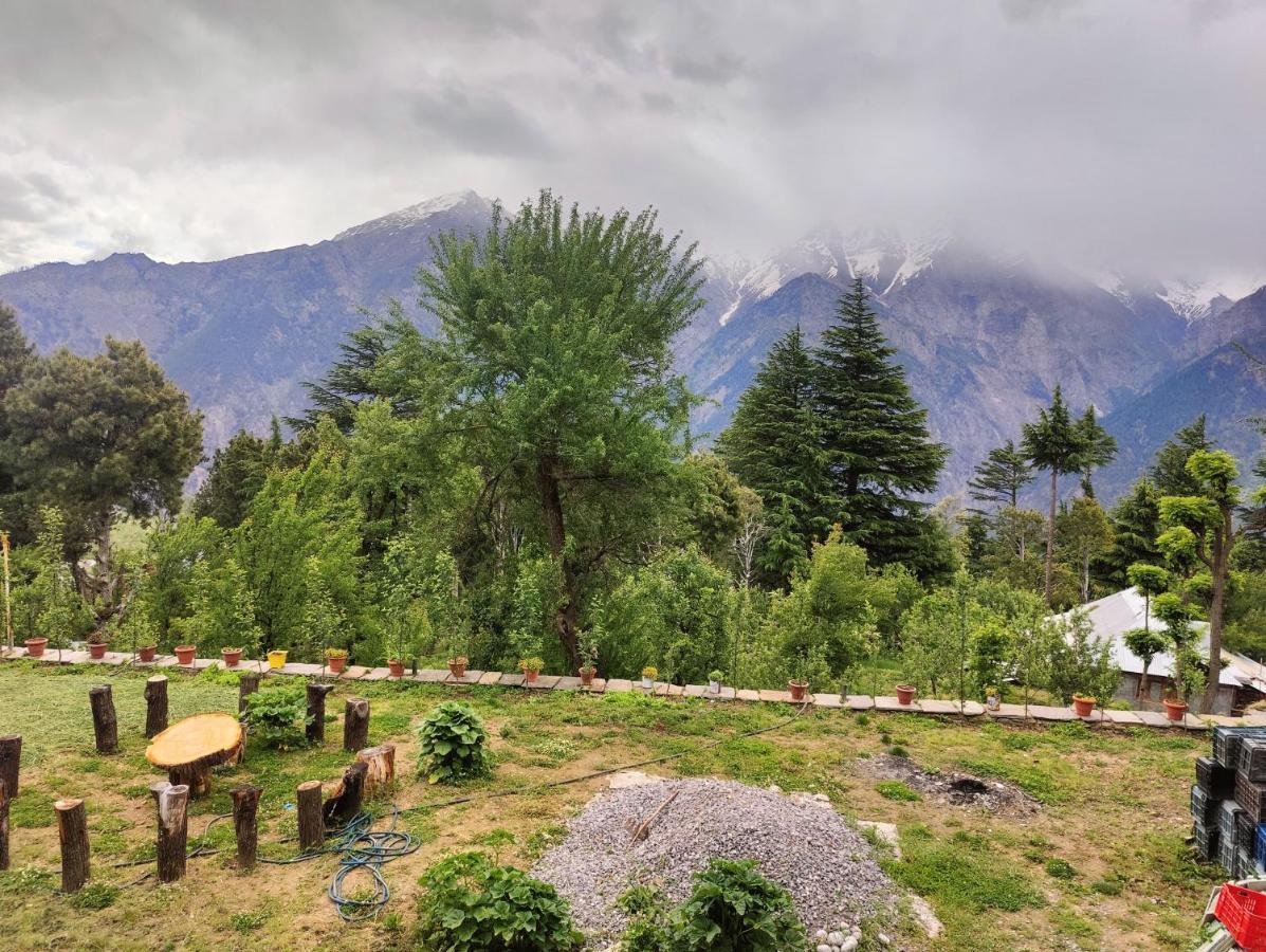 Silk Route Home Stay 칼파 외부 사진